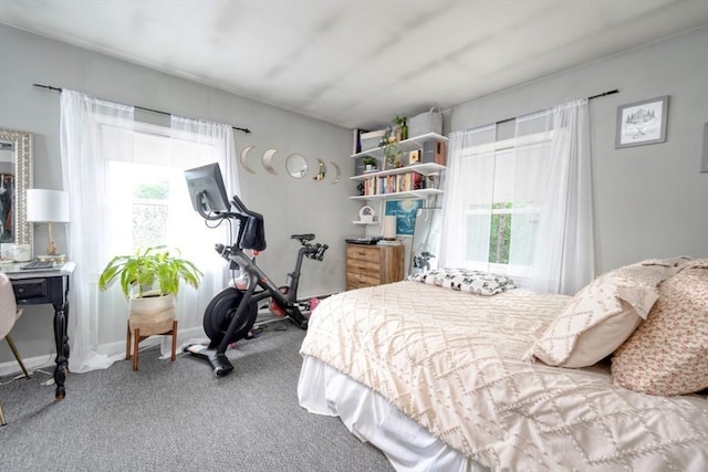 208 Green St, Weymouth, MA 02191 - bedroom featuring multiple windows and carpet