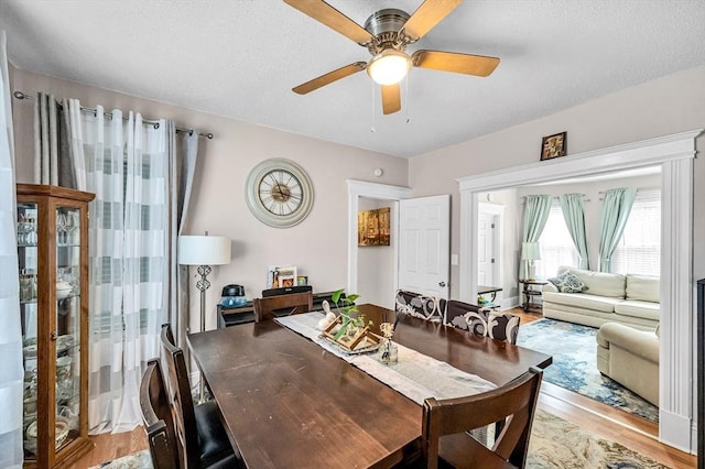 70 Riverdale St, West Springfield, MA 01089 - dining room featuring wood finished floors and ceiling fan