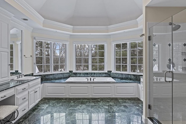 bathroom with a raised ceiling, plus walk in shower, and vanity