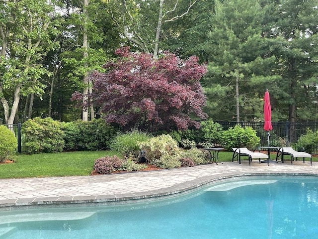 view of swimming pool with a patio area and a lawn