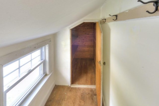 197 Eastern Ave, Worcester, MA 01605 - bonus room with light wood-style floors and vaulted ceiling