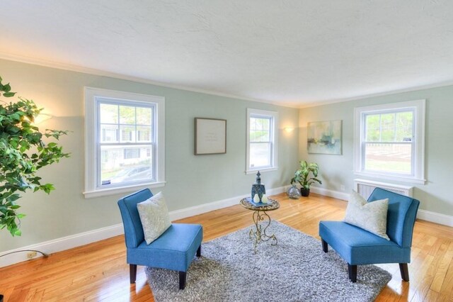 197 Eastern Ave, Worcester, MA 01605 - sitting room featuring wood finished floors, ornamental molding, and baseboards
