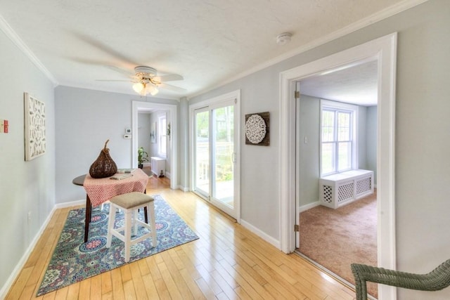 197 Eastern Ave, Worcester, MA 01605 - rec room featuring ornamental molding, light wood-type flooring, baseboards, and a ceiling fan