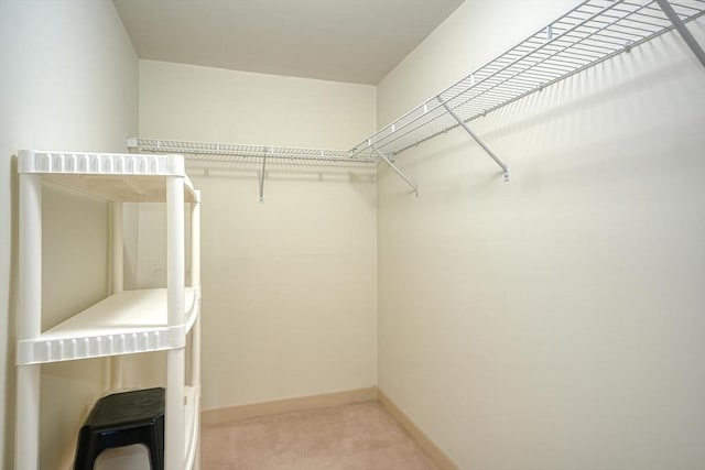 walk in closet featuring carpet flooring