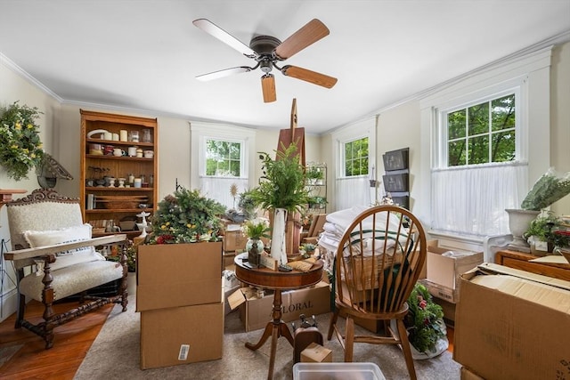 5 Putnam Ave, Barnstable, MA 02635 - living area with plenty of natural light, a ceiling fan, wood finished floors, and crown molding