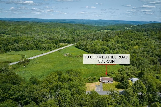 18 Coombs Hill Rd, Colrain, MA 01340 - drone / aerial view of a forest