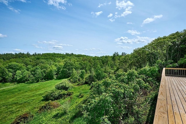 18 Coombs Hill Rd, Colrain, MA 01340 - exterior space featuring a heavily wooded area