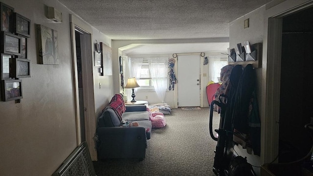 21 Eagle St, Ware, MA 01082 - carpeted living area with a textured ceiling