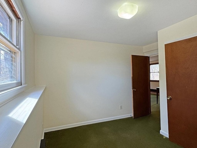 interior space featuring baseboards and carpet