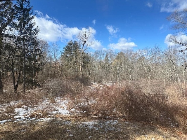 view of local wilderness