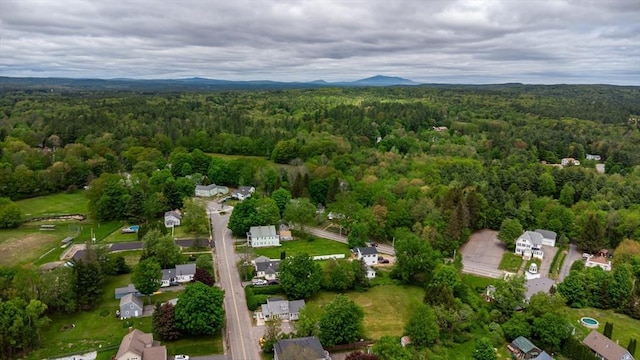 18 Main St, Templeton, MA 01468 - drone / aerial view of a forest