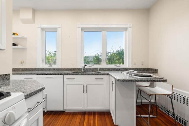 kitchen with a sink, radiator heating unit, dark wood-style flooring, and healthy amount of natural light