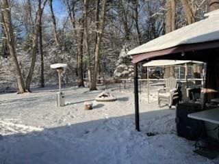 view of yard covered in snow