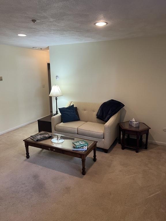 20 Colonial Dr Unit 3, Andover, MA 01810 - living room with light colored carpet, a textured ceiling, baseboards, and recessed lighting