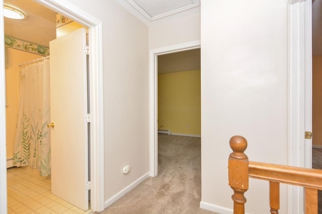 154 E Bacon St Unit B6, Plainville, MA 02762 - hallway featuring baseboards, carpet floors, and a baseboard heating unit