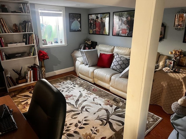 living room with dark hardwood / wood-style floors