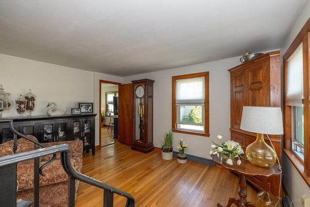 21 Alfred St, Woburn, MA 01801 - living room with plenty of natural light, light wood-style floors, and baseboards