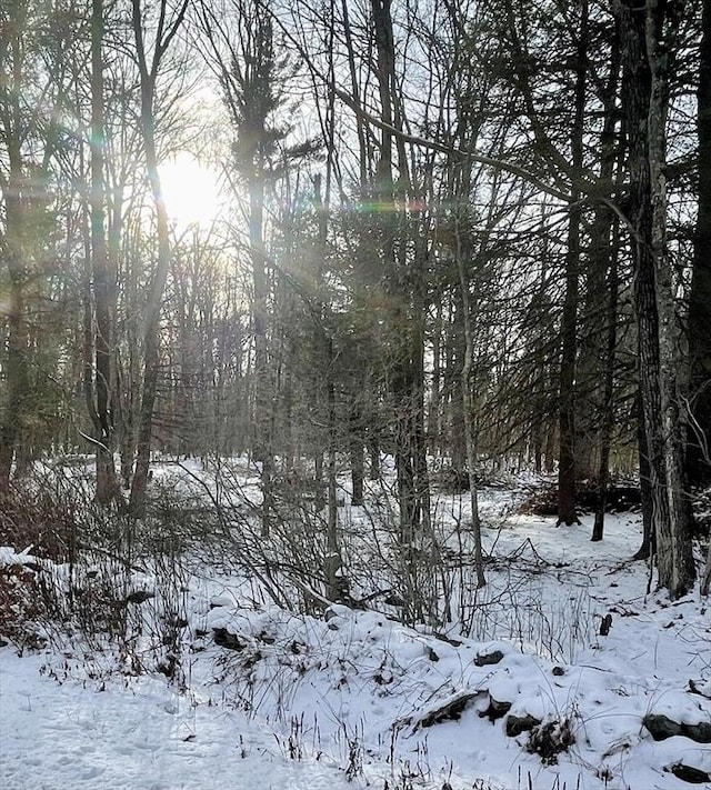 LOT6 Colebrook River Rd, Tolland MA, 01034 land for sale