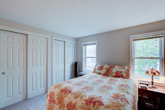 112 Olde Colonial Dr Unit 3, Gardner, MA 01440 - bedroom featuring carpet and multiple closets