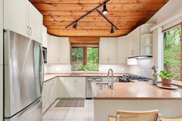 77 Temple Rd, Concord, MA 01742 - kitchen with appliances with stainless steel finishes, track lighting, open shelves, a peninsula, and healthy amount of natural light