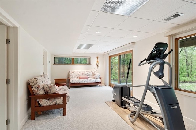 77 Temple Rd, Concord, MA 01742 - exercise area with carpet flooring, a drop ceiling, and baseboards