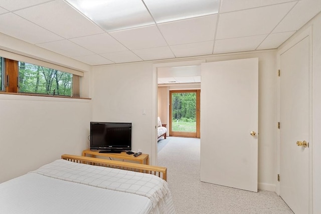 77 Temple Rd, Concord, MA 01742 - bedroom with a paneled ceiling, carpet, and baseboards
