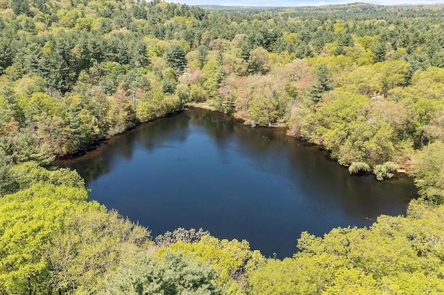 77 Temple Rd, Concord, MA 01742 - bird's eye view of a forest and a nearby body of water