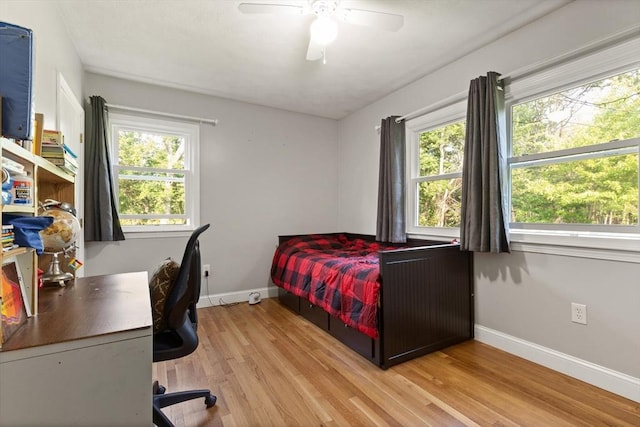 19 Shaker Ln, Littleton, MA 01460 - bedroom featuring wood finished floors and a ceiling fan