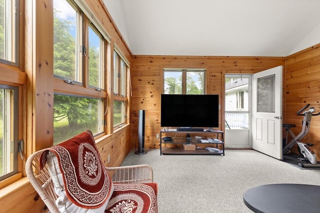 19 Shaker Ln, Littleton, MA 01460 - carpeted living area featuring wood walls and vaulted ceiling