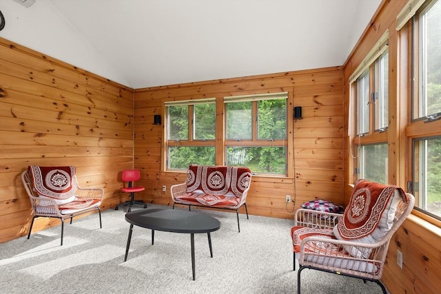19 Shaker Ln, Littleton, MA 01460 - sitting room with lofted ceiling, carpet, plenty of natural light, and wooden walls