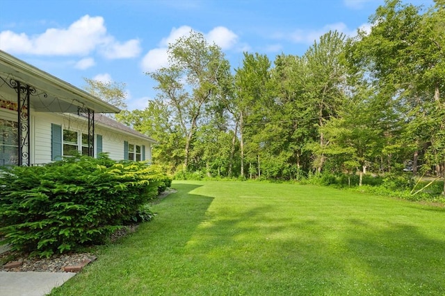 19 Shaker Ln, Littleton, MA 01460 - view of green lawn