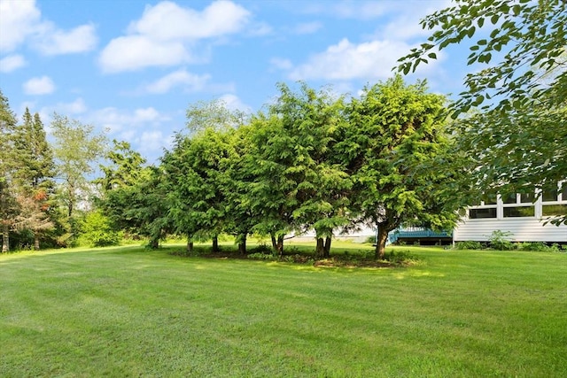 19 Shaker Ln, Littleton, MA 01460 - view of grassy yard
