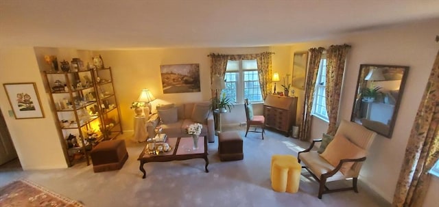 living area featuring carpet floors