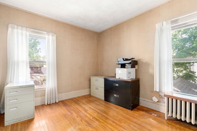 office space with light wood-type flooring, radiator, plenty of natural light, and baseboards