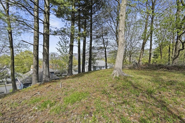28 Upton St, Adams, MA 01220 - view of yard