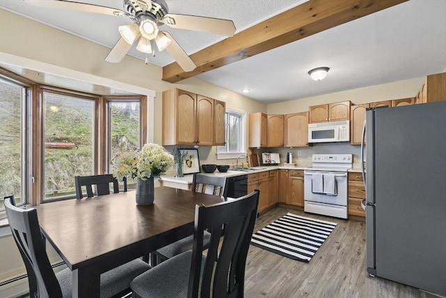 28 Upton St, Adams, MA 01220 - kitchen with a sink, white appliances, light wood-type flooring, ceiling fan, and light countertops
