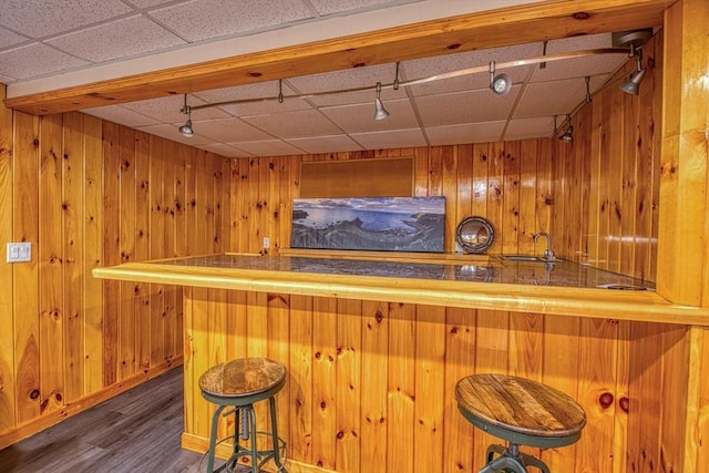 bar featuring track lighting, indoor bar, and wood walls