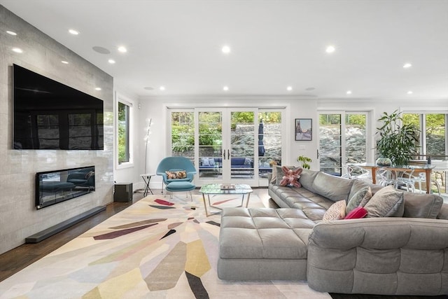 living area featuring a large fireplace, french doors, ornamental molding, and a healthy amount of sunlight