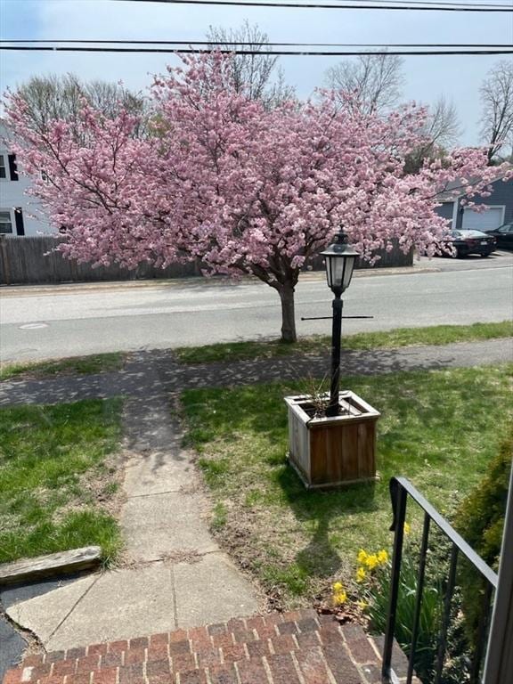 2 Proctor Cir, Peabody, MA 01960 - view of yard
