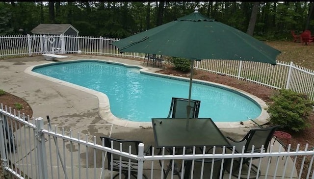 view of pool with a diving board