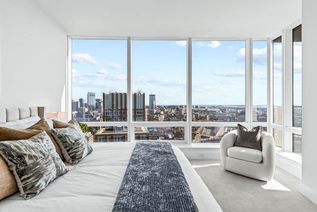 bedroom with expansive windows, multiple windows, carpet, and a city view