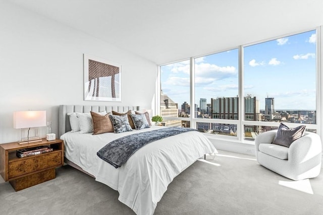 carpeted bedroom featuring a city view