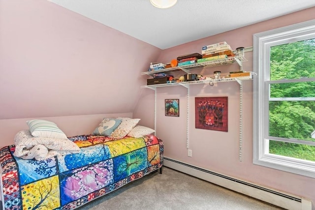 76 Beaver Rd, Ware, MA 01082 - bedroom featuring a baseboard radiator, lofted ceiling, and carpet