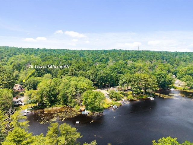 76 Beaver Rd, Ware, MA 01082 - aerial view of a forest and a large body of water