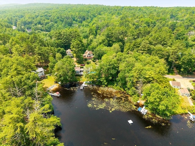 76 Beaver Rd, Ware, MA 01082 - drone / aerial view of a heavily wooded area and a nearby body of water