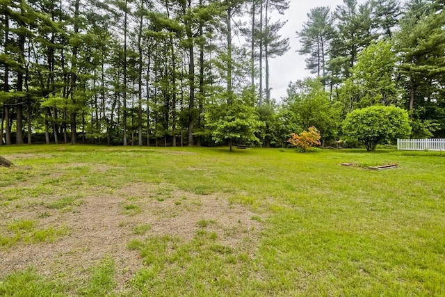 299 Shaker Rd, Westfield, MA 01085 - view of yard