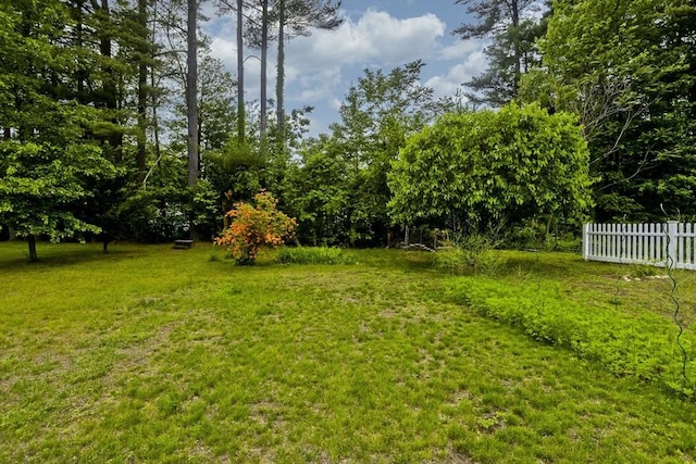299 Shaker Rd, Westfield, MA 01085 - view of yard