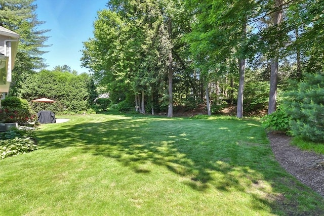 34 Hawks Cir, Westfield, MA 01085 - view of green lawn