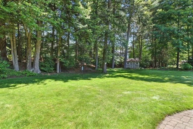 34 Hawks Cir, Westfield, MA 01085 - view of grassy yard with an outdoor structure