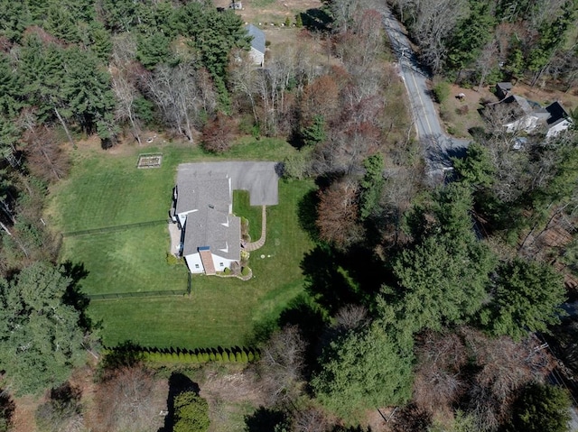 drone / aerial view